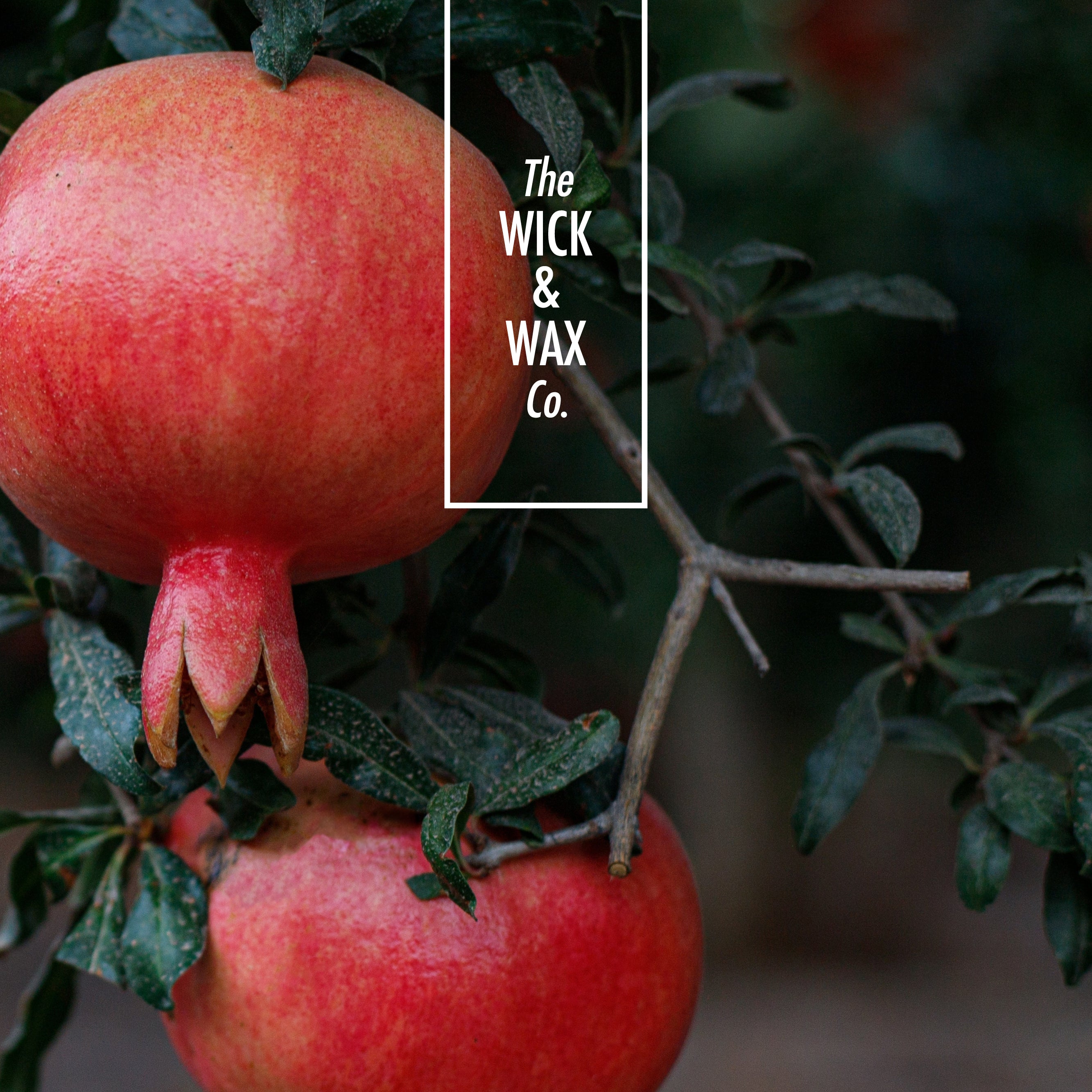 Pomegranate With Fig - Scented Soy Candle