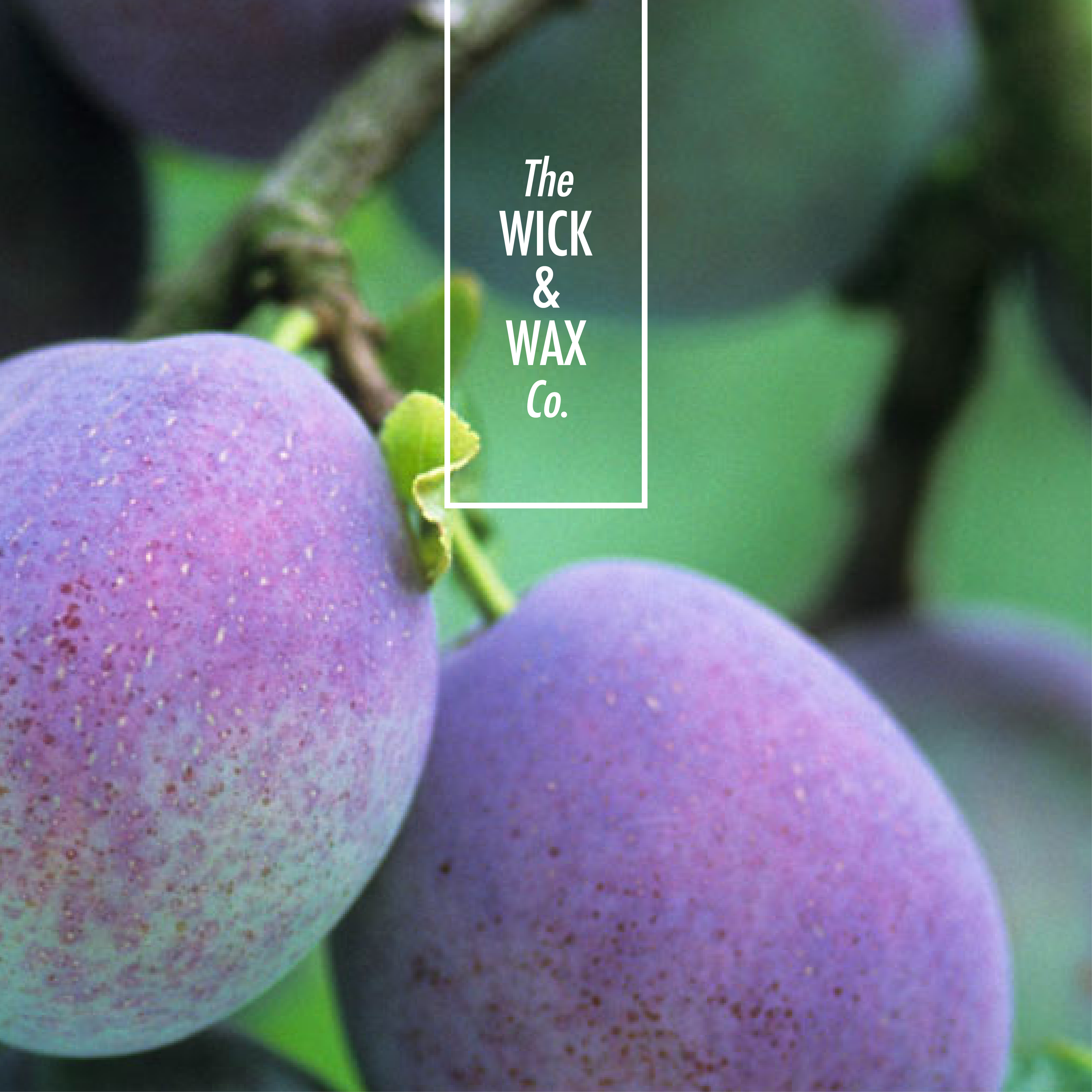 Plum With Rhubarb - Scented Soy Candle