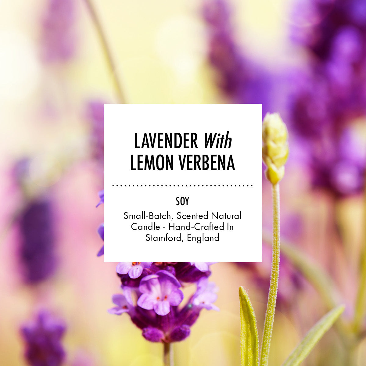 Lavender With Lemon Verbena - Scented Soy Candle