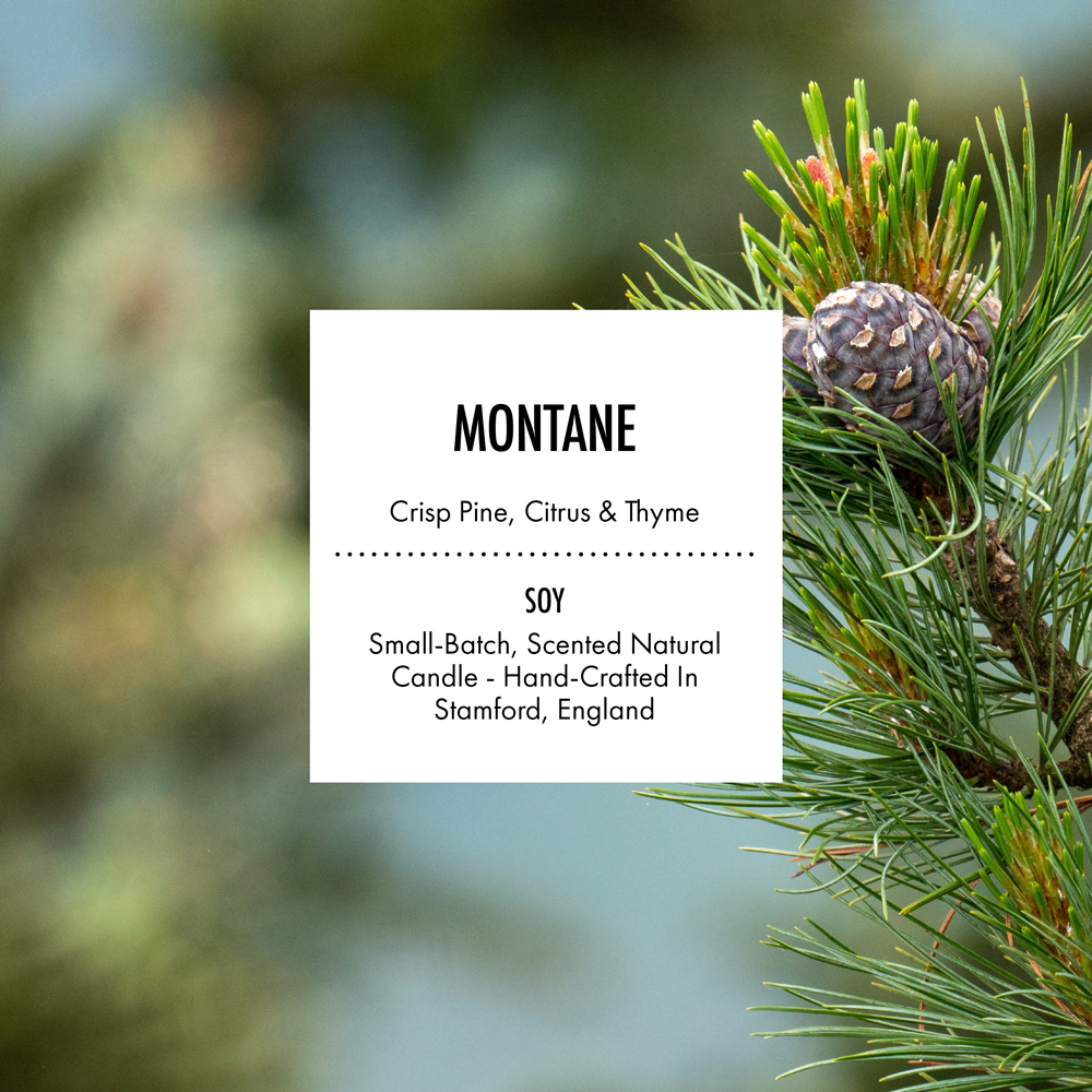 Montane - Scented Soy Candle